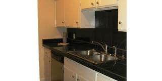 1 Bedroom Condo in the Heart of Austin Gallery 1