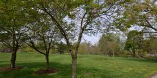 Newly Renovated 4 Bedroom Near Franklin Park- First month rent free Gallery 23