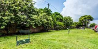 Coronado Springs Gallery 16