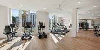 Olea eTown Gallery 36