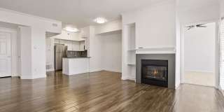 The Soleil Gallery 31