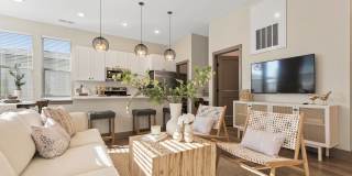 Modern Craftsman Black Cat Gallery 29