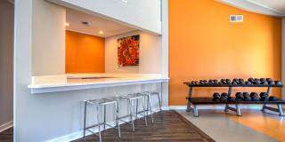 Palmetto Grove Palmetto Grove Gallery 9