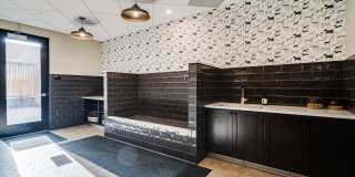 Nolan Mains Gallery 62