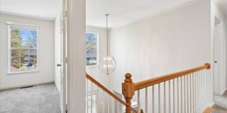 18512 FIDDLELEAF Terrace Gallery 17