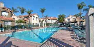 Palm Court Furnished Delight! Gallery 24