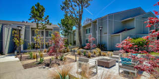 Bay View Terrace Gallery 5