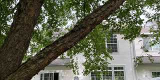 Spacious  South Burlington Townhouse for Rent - Available 7/1 Gallery 25