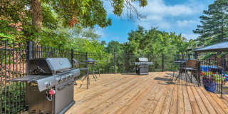 Turtle Lake Gallery 21