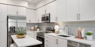 Alta Westwind Gallery 17