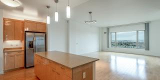 The Grand Gallery 81