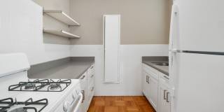 Move over, Linguini! Gallery 10