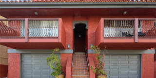 34121 Ruby Lantern Gallery 1