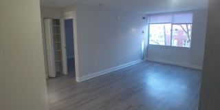 545 Centre St. Gallery 2