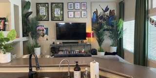 722 W Canary Gallery 14