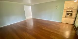 7 Padanaram Rd Gallery 2