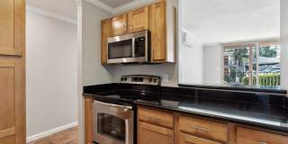 Atrium Downtown Gallery 14