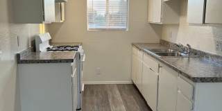 Warren St Family Village Gallery 2