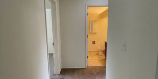451w13 Gallery 16