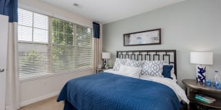 Lane Parke Apartments Gallery 13