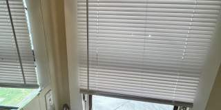 239 Poplar Street Gallery 11