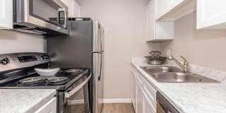 Fitz on 14th Gallery 4