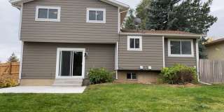 Spacious West-Side Tri-Level Home Gallery 50