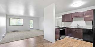 Don Quixote Gallery 8