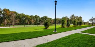 Molly Brook on Belmont Gallery 20