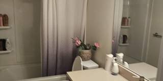 11642 Groves View Drive Gallery 22