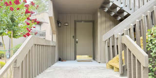 10 Pine Tree Road Gallery 3