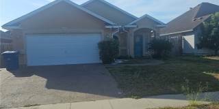 2517 Windrose Drive Gallery 1