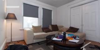 Nice 2 bed in Allston Gallery 6