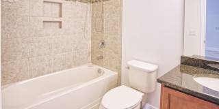 11619 Iris Spring Ct Gallery 25