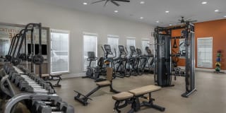 Harvest in Tracy Gallery 32