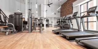 Troubadour Gallery 119