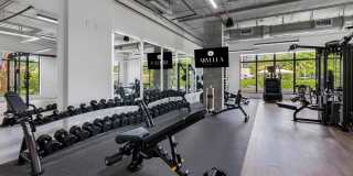 Arvella Arvella Gallery 50