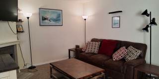 Midtown Furnished 1 Bedroom Gallery 13