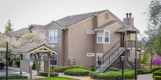 Lake Forest Gallery 25