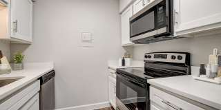 Summerwind Gallery 14