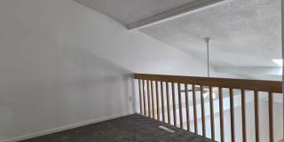 Lake Shores Gallery 12