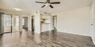 Rise Spring Pointe Gallery 152