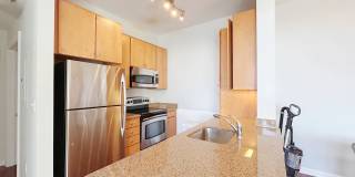 4 Repton Place - 4415 Gallery 1