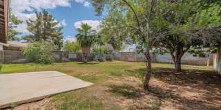 14626 N 38th St Gallery 12