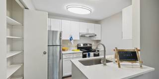 Avana Chestnut Hill Gallery 4