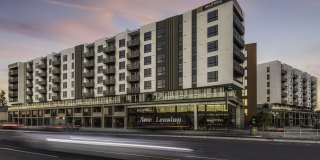 Maxwell at Bascom Maxwell at Bascom Gallery 28