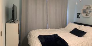 1609 Sydenham Gallery 37
