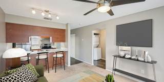 Aaron Lake Gallery 10