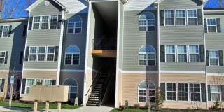 Spacious Condo! Gallery 1