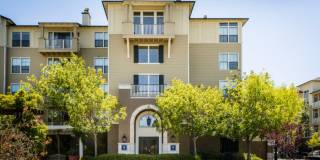 Marlin Cove Apartments Gallery 25
